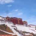 조캉 사원은 티베트 불교의 중심지로, 많은 순례자들이 찾는 중요한 사원입니다. 역사와 중요성에 대해 알아보세요