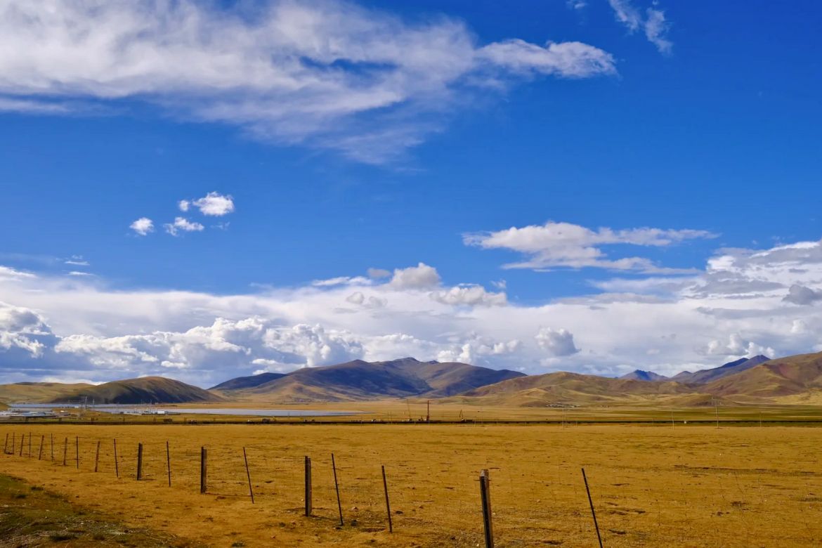 bangda grassland tibet03 티벳여행 전문 현지여행사