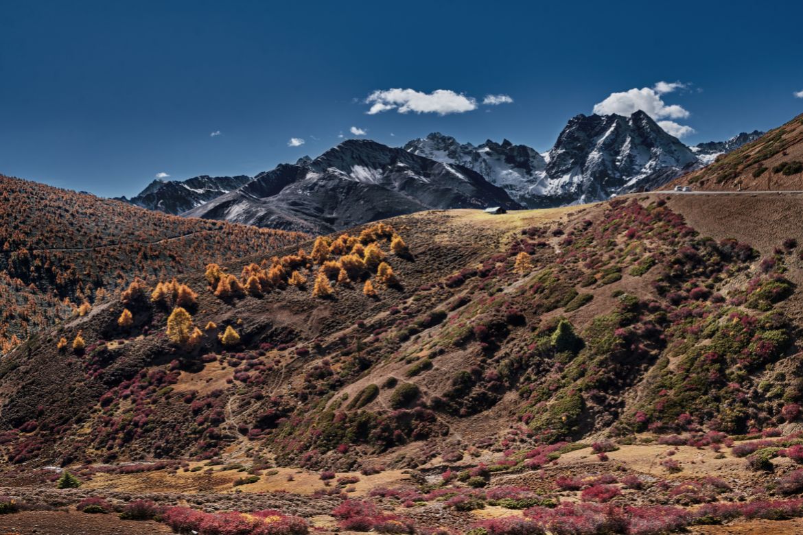 baimaxueshan yakou travel02 티벳여행 전문 현지여행사