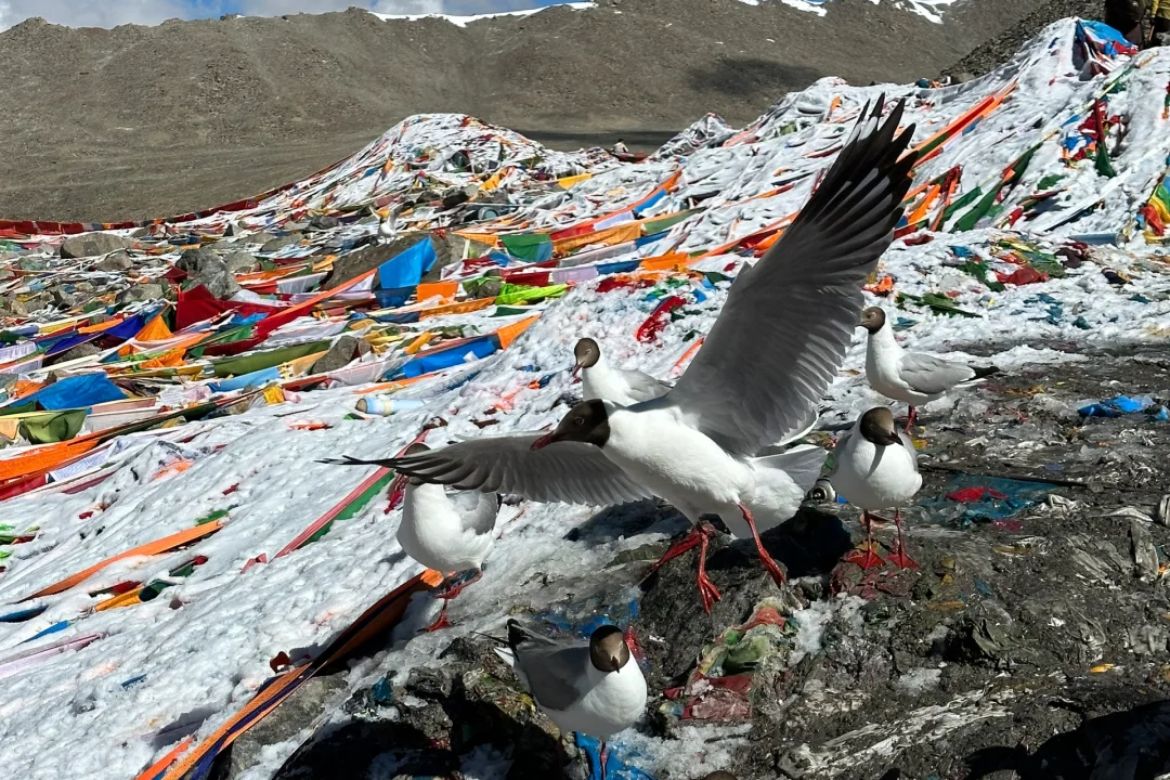 drolma la pass tibet07 티벳여행 전문 현지여행사