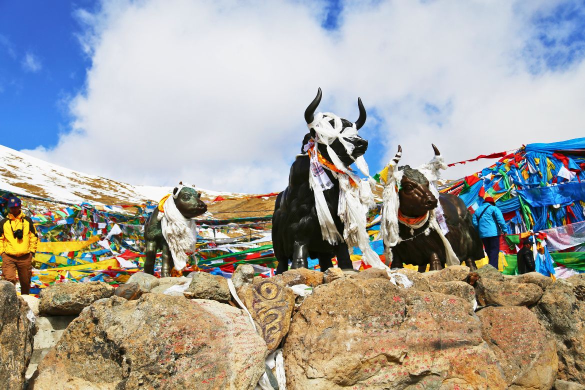 tibet hada06 티벳여행 전문 현지여행사