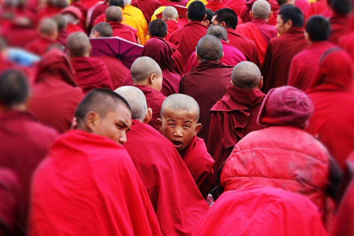 tibet monastery education04 티벳여행 전문 현지여행사