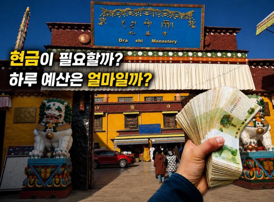 여러 장의 현금 지폐가 겹쳐져 있는 모습