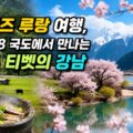 루랑 숲의 전경