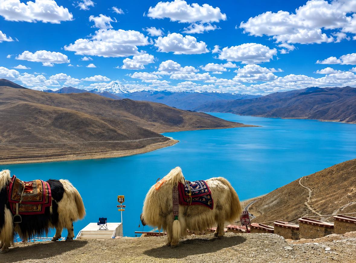 yamdrok lake 1 티벳여행 전문 현지여행사