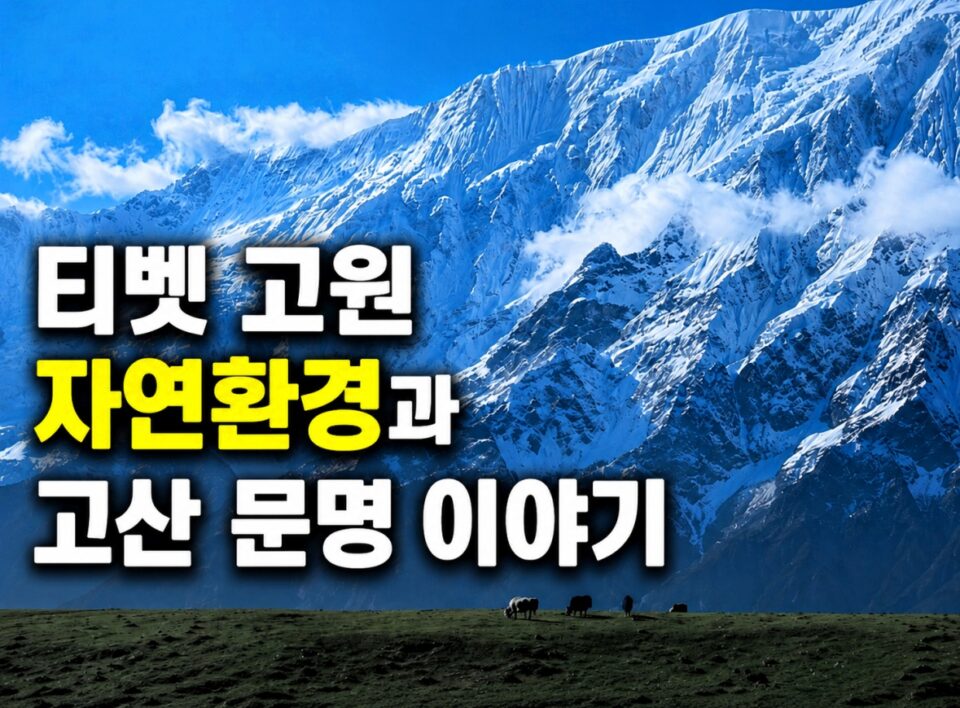 푸른 하늘 아래 눈 덮인 고산과 초원이 펼쳐진 티벳 고원의 자연 풍경